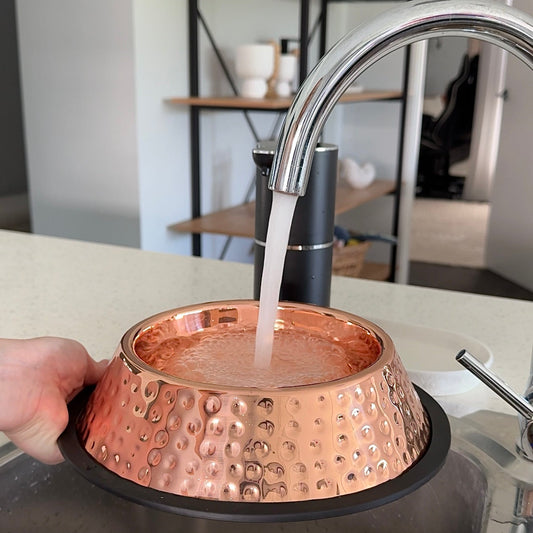 Handmade Pure Copper Pet Bowl – Premium Hammered Dog & Cat Feeding Bowl | Purely Copper